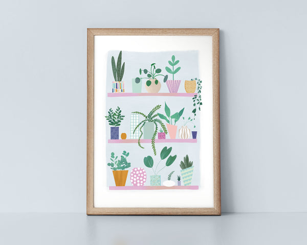 Colourful Plant Shelfie