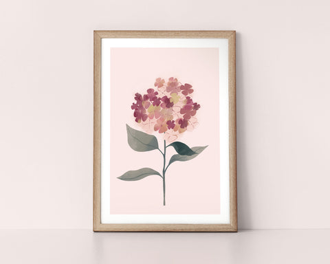 Hydrangea Stem
