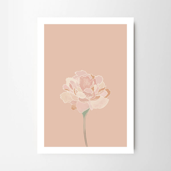 Spring Pink Single Stem Peony Flower - Tulip House Studio