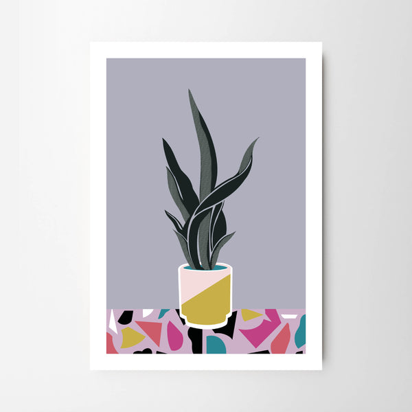 Pot Plant in Geometric Vase with Terrazzo Pattern Backdrop - Tulip House Studio