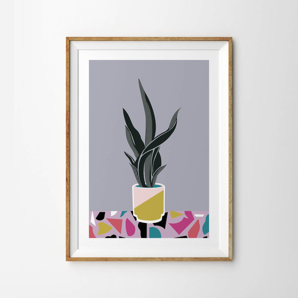 Pot Plant in Geometric Vase with Terrazzo Pattern Backdrop - Tulip House Studio