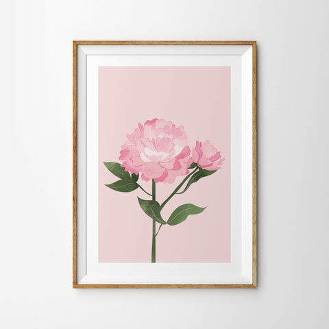 Single Stem Dusky Pink Peony Flowers - Tulip House Studio