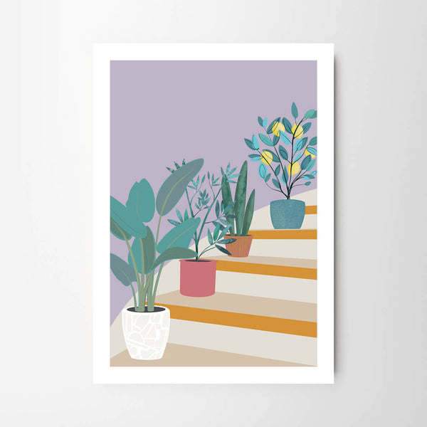 Plant and Pot Arrangement on Steps