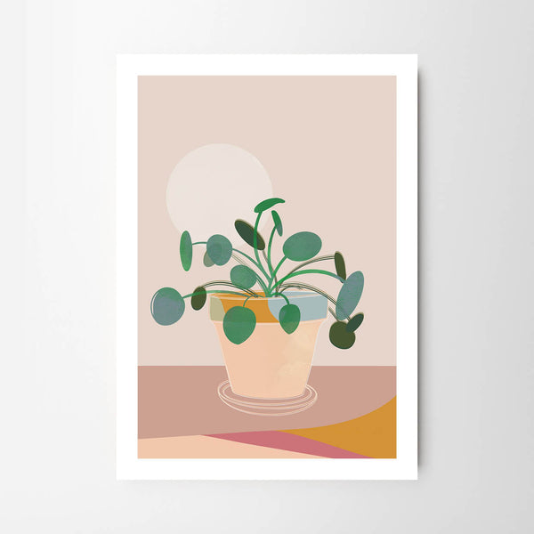 Playful Pilea Plant