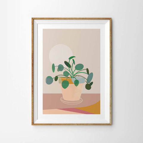 Playful Pilea Plant
