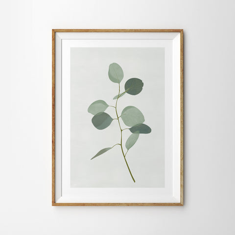 Delicate Eucalyptus Leaves