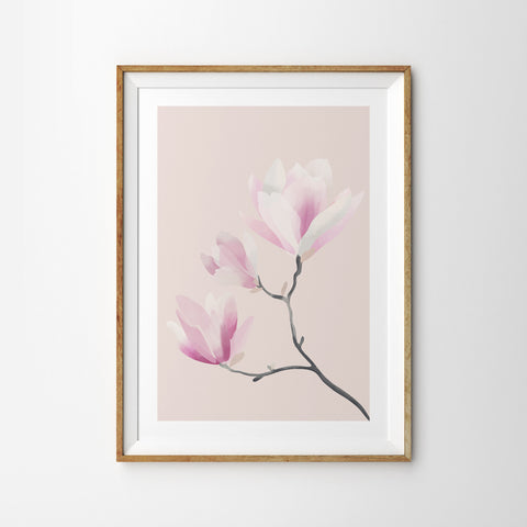 Spring Magnolia