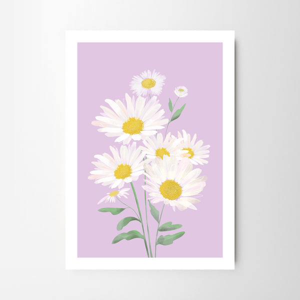 Lilac Daisies