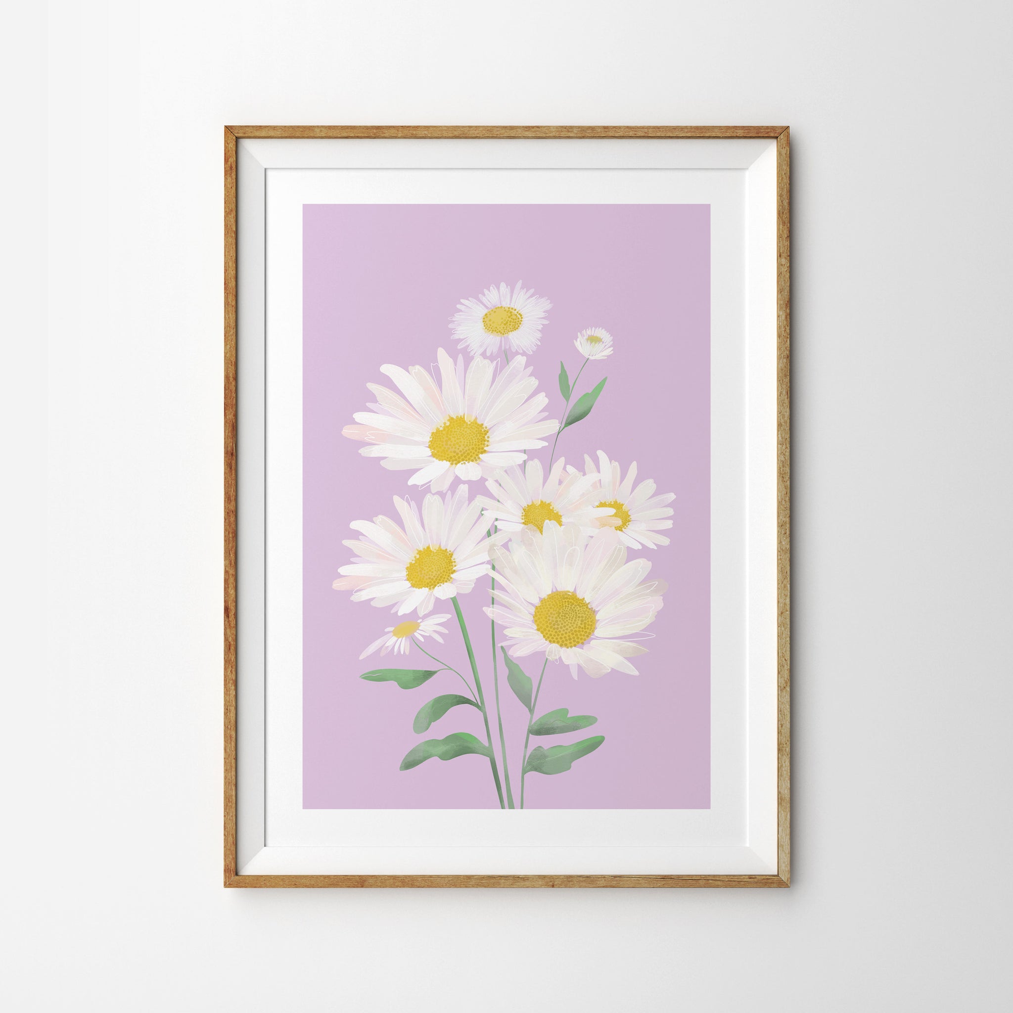 Lilac Daisies