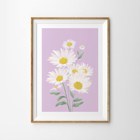 Lilac Daisies
